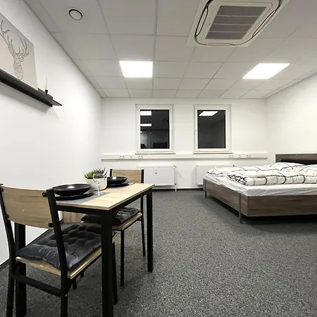 Simplex Leo Wohleb Str Apartment Freiburg im Breisgau